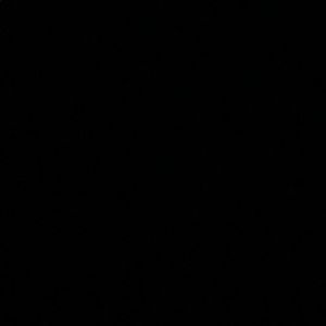 Meet your Posher, Saylor